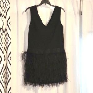 Black Feather Skirt V Neck Dress